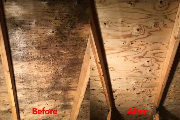 water damage restoration service St. Stephens